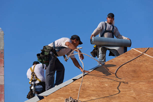 Best Metal Roofing Contractor  in Spencer, IN